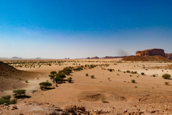 Trekking dans une plaine de l'Ennedi