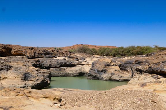 Randonnée près d'une guelta au Tchad