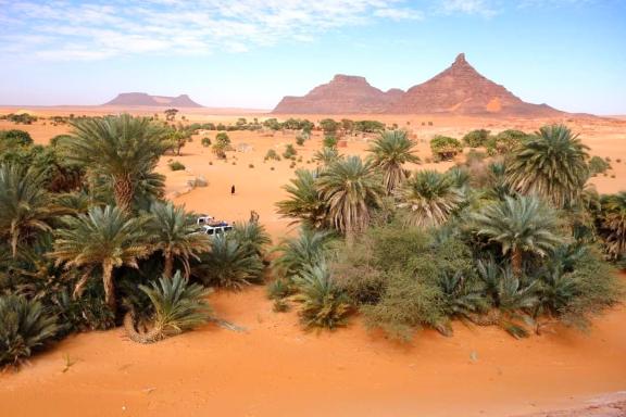 Randonnée à la palmeraire de Faya