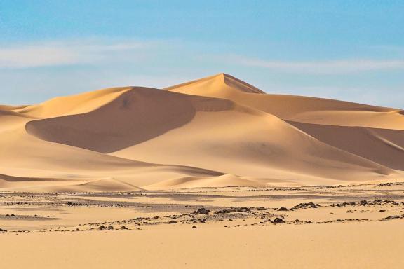 Voyage près de dunes au Mehadjebat