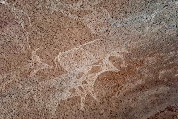 Voyage avec peintures rupestres dans la Tefedest