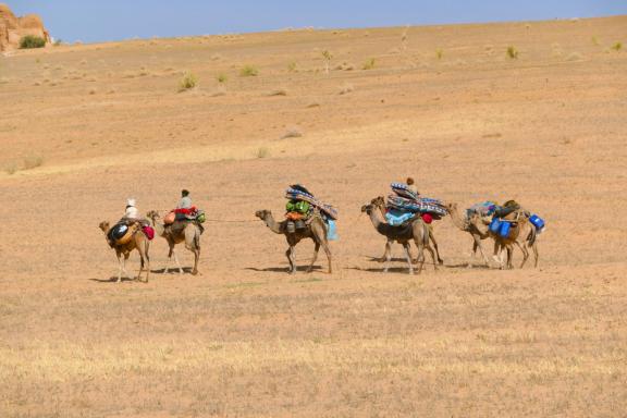 Randonnée chamelière dans l'Ennedi