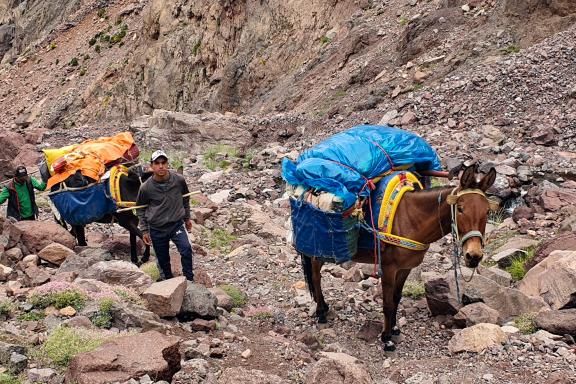 Voyage avec mules et muletiers du Haut-Atlas
