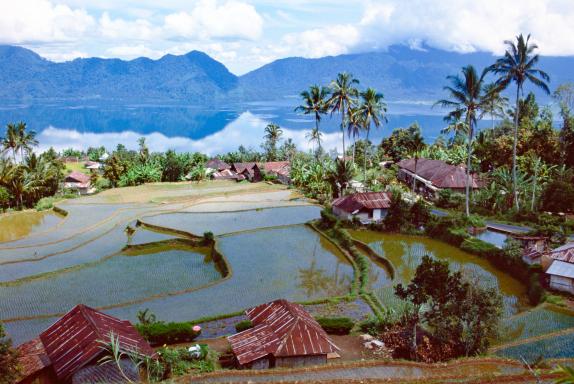 Trek vers un village batak sur une île du lac Toba au nord de Sumatra