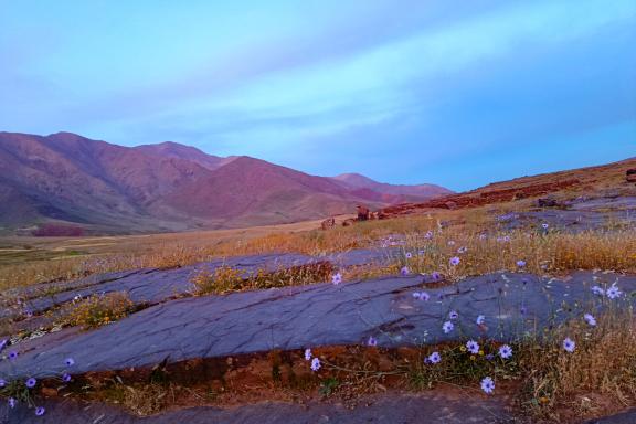 Voyage près d'un plateau du Haut-Atlas
