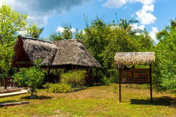 Randonnée près du rancho de los Pitines