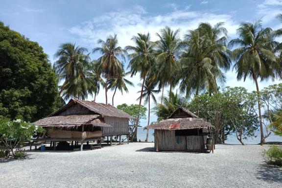 Voyage vers un village papou dans la baie de Collingwood sur la cote orientale de la Nouvelle-Guinée