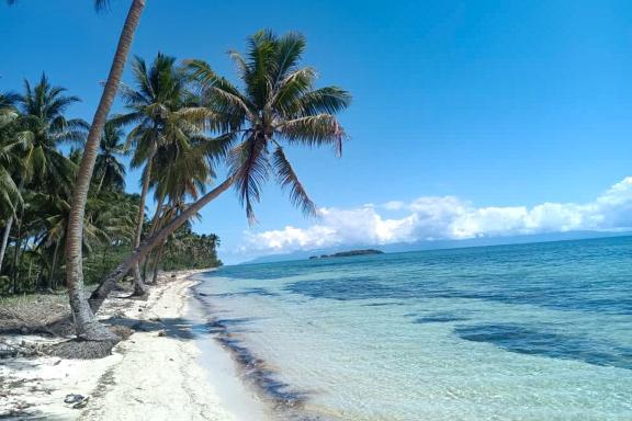 Voyage vers la cote orientale de l'ile de Nouvelle-Guinée