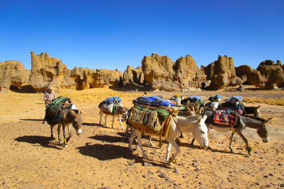 Randonnée avec des anês à Séfar