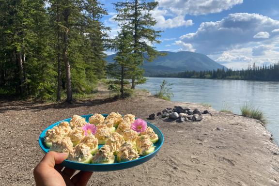 Au Canada en canoë sur la riviere yukon
