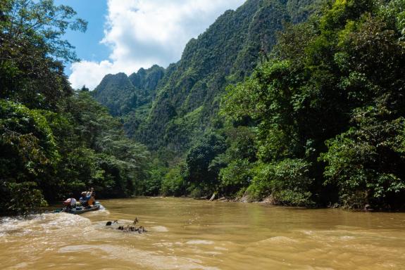 Remontée de la rivière Marang parmi les karsts de Kalimantan sur l'ile de Bornéo