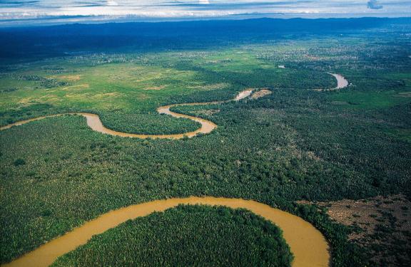 Voyage vers une rivière qui serpente entre jungle et plantations à Kalimantan sur l'ile de Bornéo