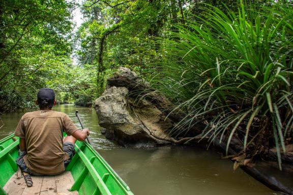 Navigation sur la rivière Marang à Kalimantan sur l'ile de Bornéo