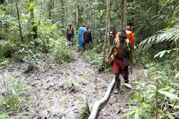 Trekking à travers la forêt marécageuse du sud de la Papouasie