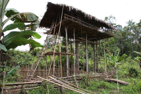 Voyage vers la construction d'une maison perchée chez les Kombay