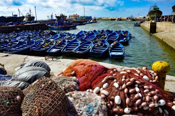 Découverte du port de pèche d'Essaouira