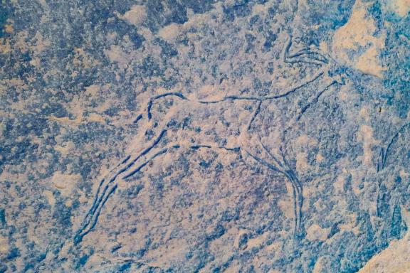Gravure rupestre dans l'oued Djerat