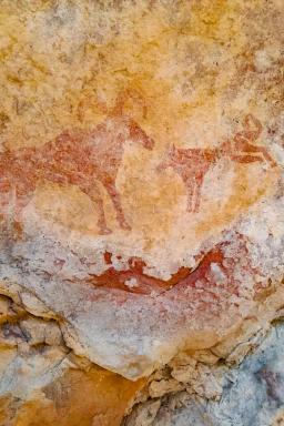 Treek près d'art rupestre dans l'oued Djerat