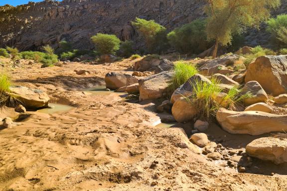 Randonnée dans l'oued Djerat