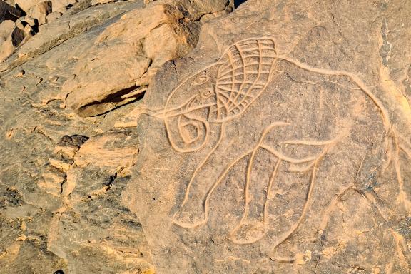 Trek avec gravure d'un éléphant en Algérie