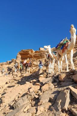 Randonnée chaemelière dans l'oued Djerat