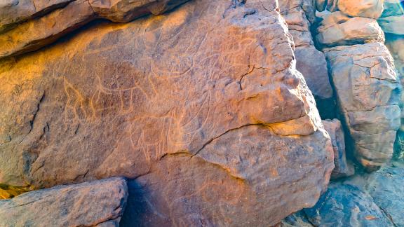 Randonnée près de gravure d'un rhinocéros en Algérie