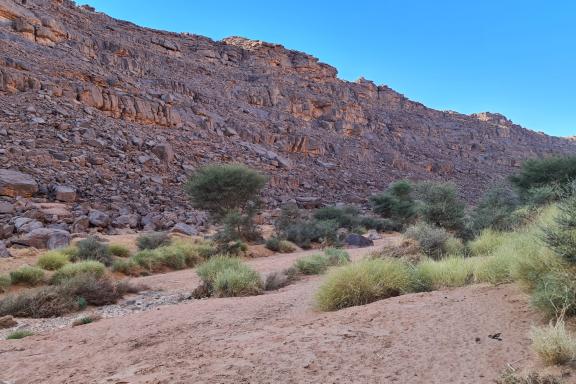 Trek dans l'oued Djerat en Algérie