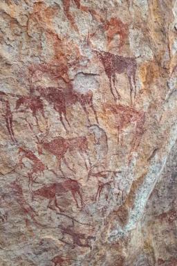 Ran donnée près de peintures rupestrers dans l'oued Djerat