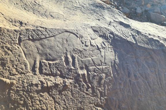 Randonnée près de gravure d'un rhinocéros en Algérie
