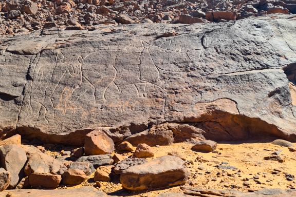 Randonnée et gravure rupestre dans l'oued Djerat