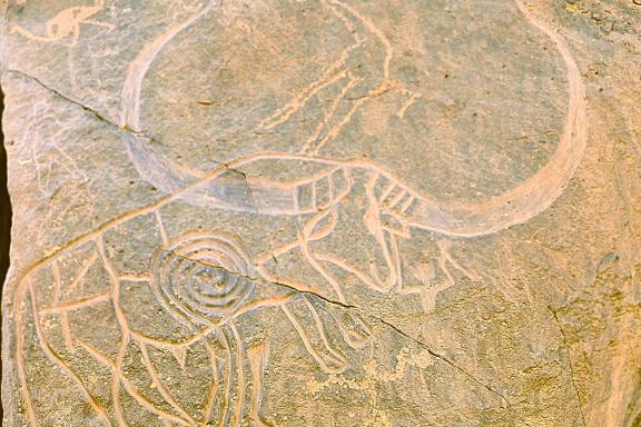 Trekking avec gravure d'un buffle dans l'oued Djerat