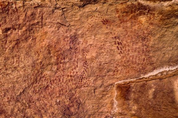 Peinture de girafes dans l'oued Djerat