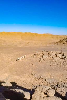 Randonnée chamelière dans l'Oued Djerat