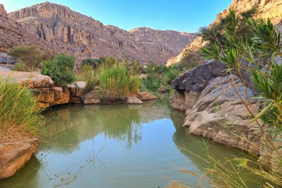 Randonnée à la guelta de l'Oued Djerat