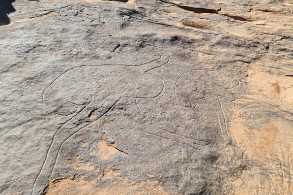 Randonnée et gravure rupestre dans l'oued Djerat