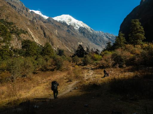 Nepal, Langtang trek