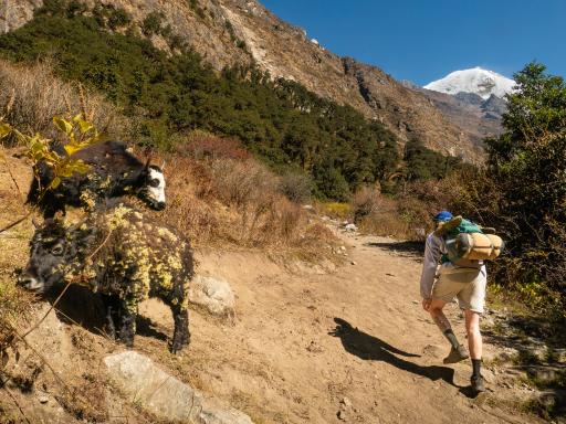 Nepal, Langtang trek