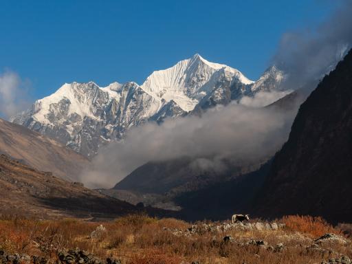 Nepal, Langtang trek, Gangchempo peak a  6378 m