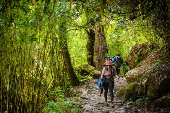 Nepal, Langtang trek