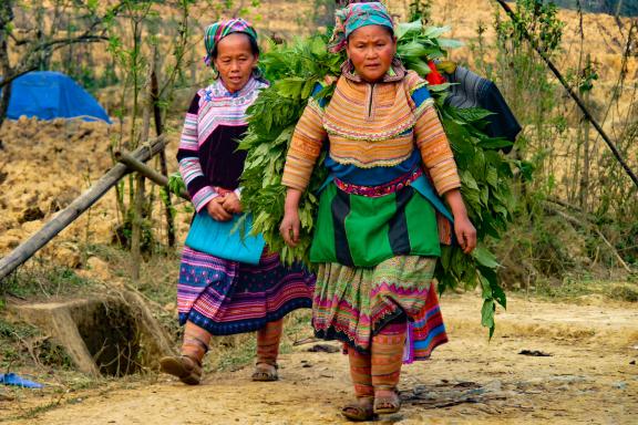 Trekking avec des femmes hmong fleur en marche vers leur village dans la région de Bac Ha