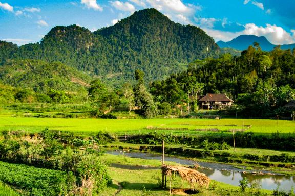 Trekking vers les rizières et paysage karstique dans les montagnes du nord Vietnam