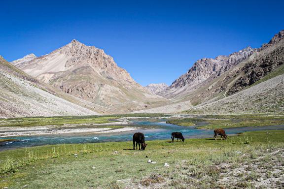 Trek et randonnée vallées des monts Fansky lac marzugor