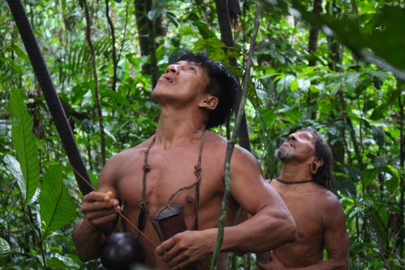 Waoranis en Amazonie équatorienne