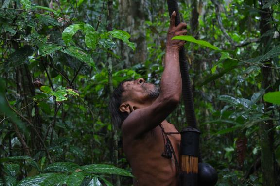 Waoranis en Amazonie équatorienne