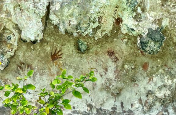 Trekking vers des peinures rupestres sur un ilot de l'archipel des Moluques