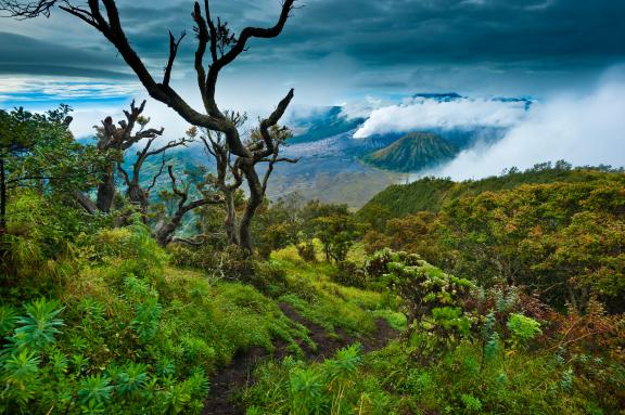 Trek en bordure de la caldeira de Tengger en direction du Bromo