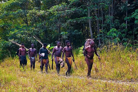 Découverte d'un retour de chasse des Papous Keuw  au nord de la Papouasie indonésienne