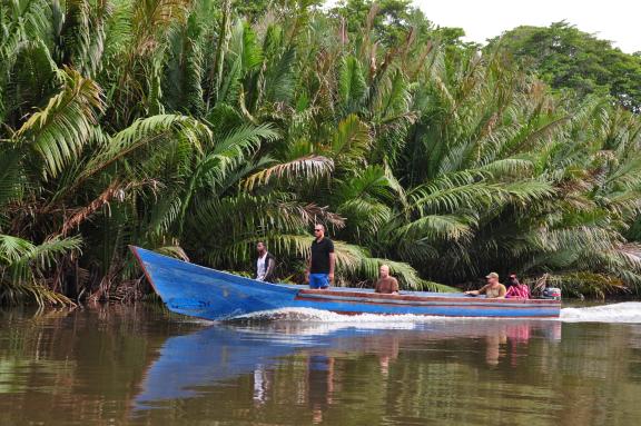 Découverte en bateau de la mangrove cotière dans la région de Nabire