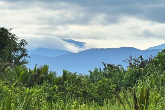Remontée vers le sud en direction des montagnes centrales de Papouasie indonésienne