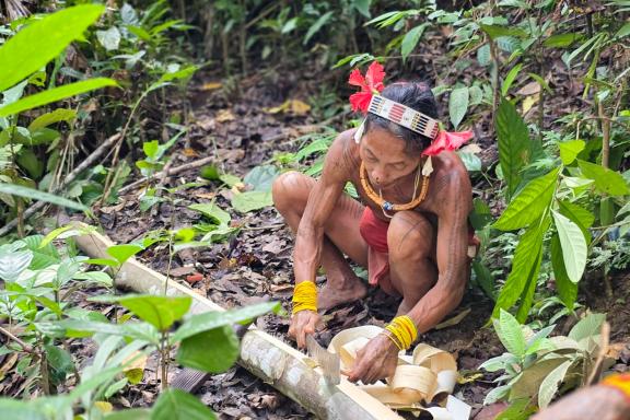 Activité traditionnelle chez les hommes-fleurs de Siberut